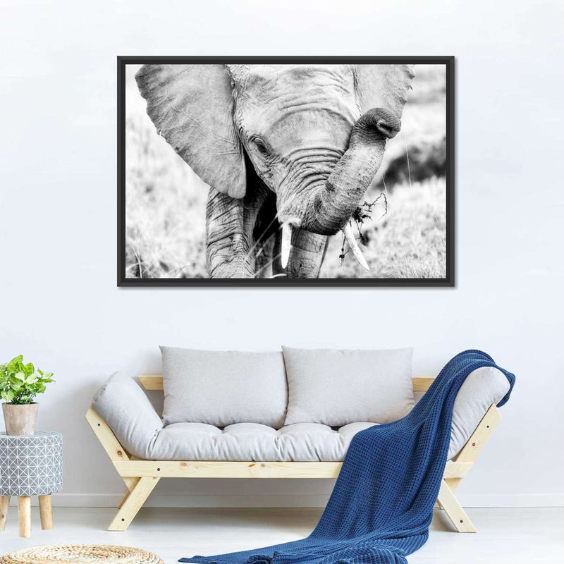 Kenyan Baby Elephant Wall Art