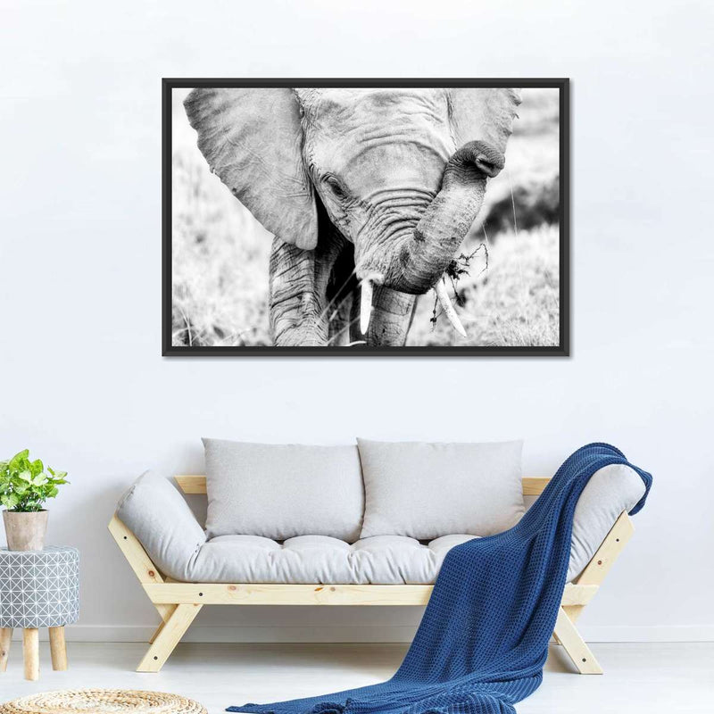 Kenyan Baby Elephant Wall Art