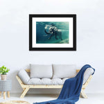 Swimming Elephant Wall Art