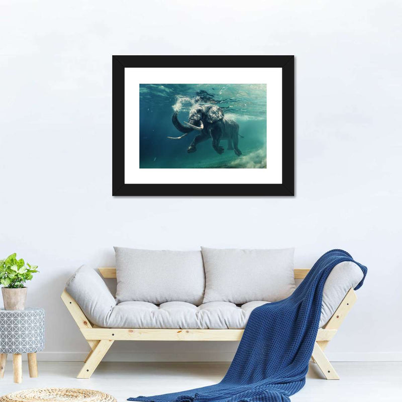 Swimming Elephant Wall Art