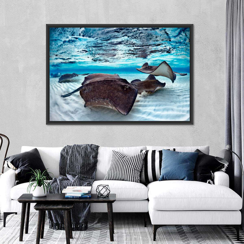 Stingrays Sea Life Wall Art