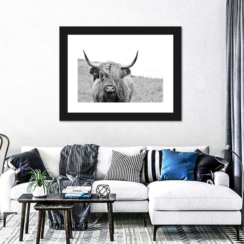 Solitary Highland Cow Wall Art