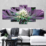 Rare Cannabis Plant Wall Art