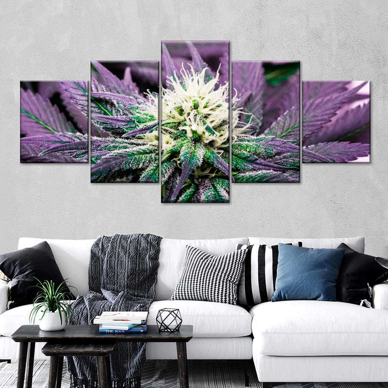 Rare Cannabis Plant Wall Art