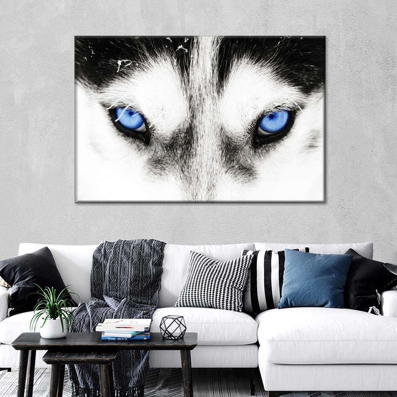 Husky's Eyes Wall Art