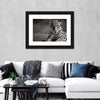 Jaguar Eyes Pop Wall Art
