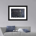 Spider Web Wall Art