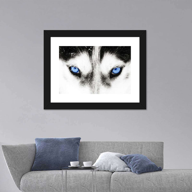Husky's Eyes Wall Art
