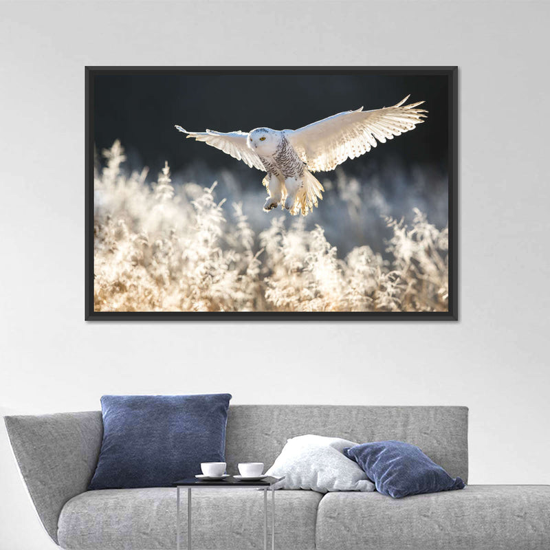 Snowy Owl Hunt Wall Art