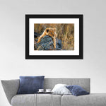 Safari Lion Cub Wall Art