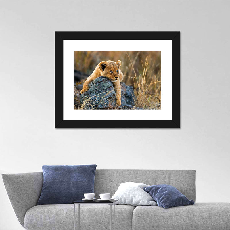 Safari Lion Cub Wall Art