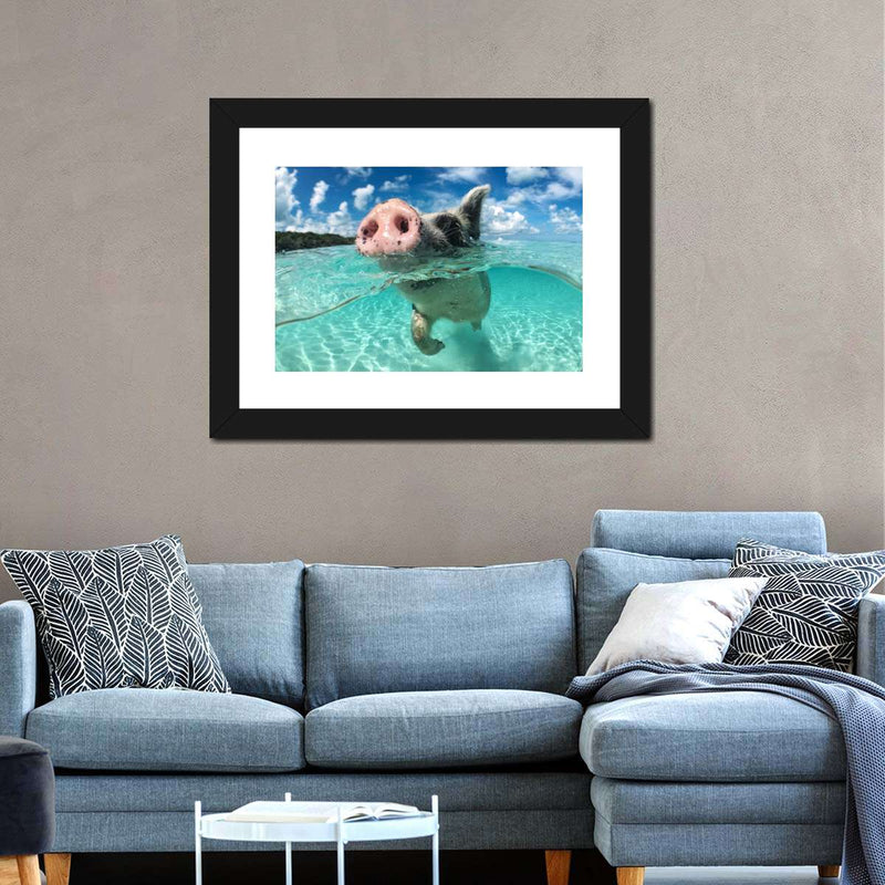 Swimming Pig Wall Art