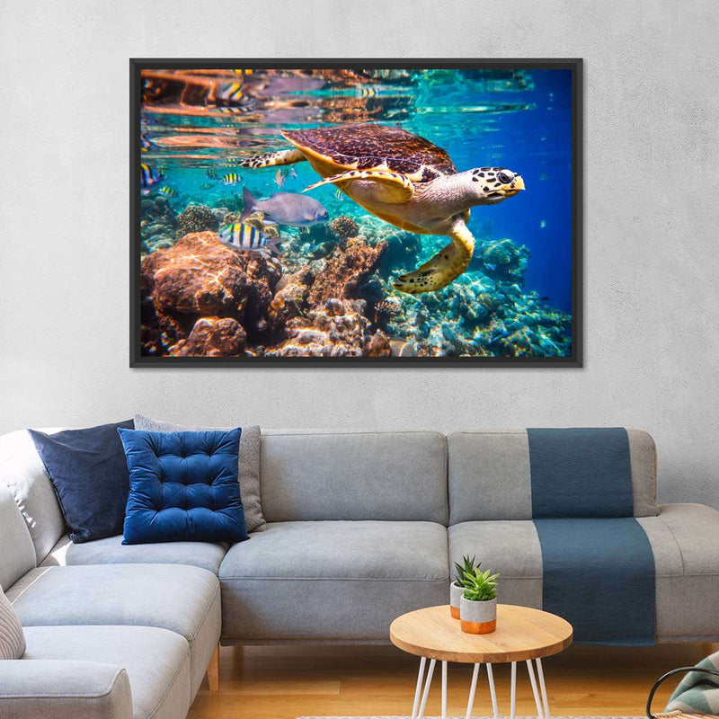 Vivid Sea Life Wall Art