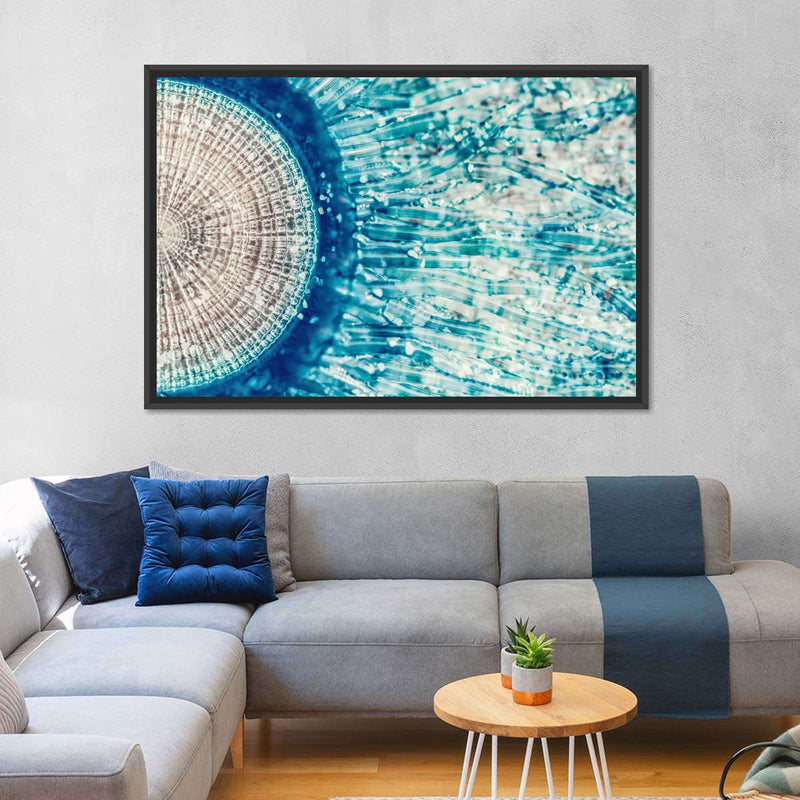 Jellyfish Details Wall Art
