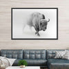 Wild Bison Wall Art