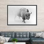 Wild Bison Wall Art