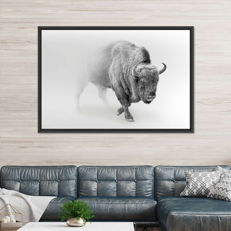 Wild Bison Wall Art