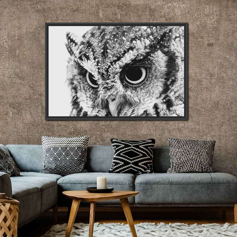 Staring Owl Wall Art