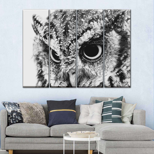 Staring Owl Wall Art
