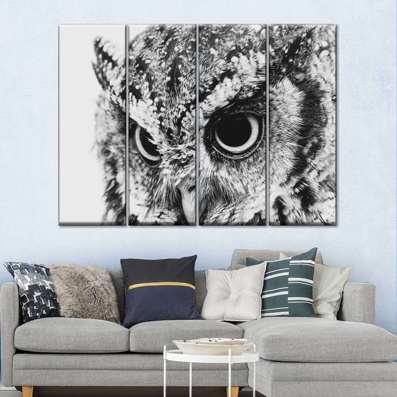 Staring Owl Wall Art