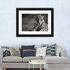 Jaguar Eyes Pop Wall Art