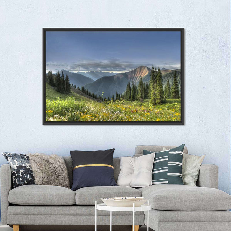 Rocky Mountain National Park Meadow Wall Art