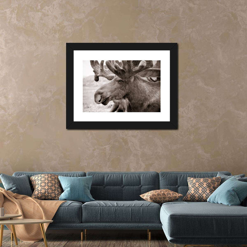 Moose Head Wall Art