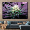 Rare Cannabis Plant Wall Art