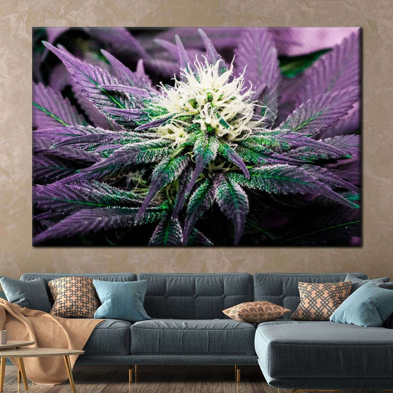 Rare Cannabis Plant Wall Art