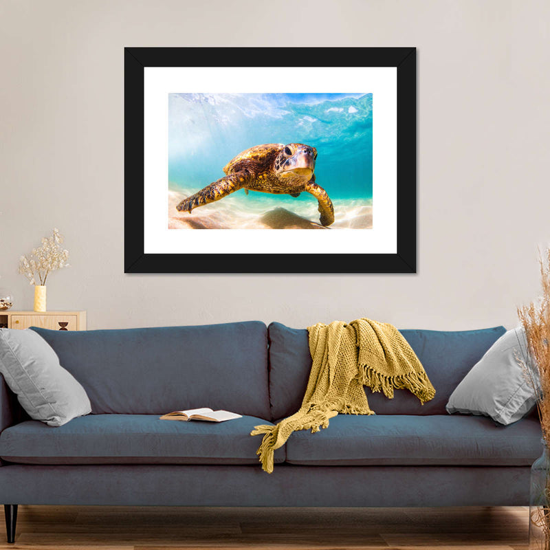 Hawaiian Turtle Wall Art