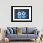 White Daisies Wall Art