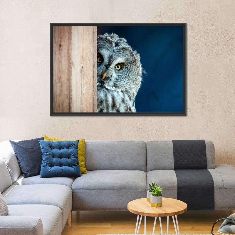 Peeking Owl Wall Art