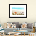 Seashells At The Beach Wall Art