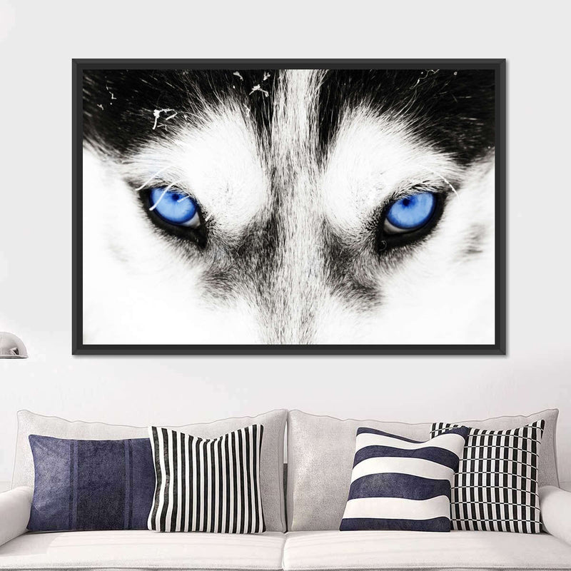 Husky's Eyes Wall Art