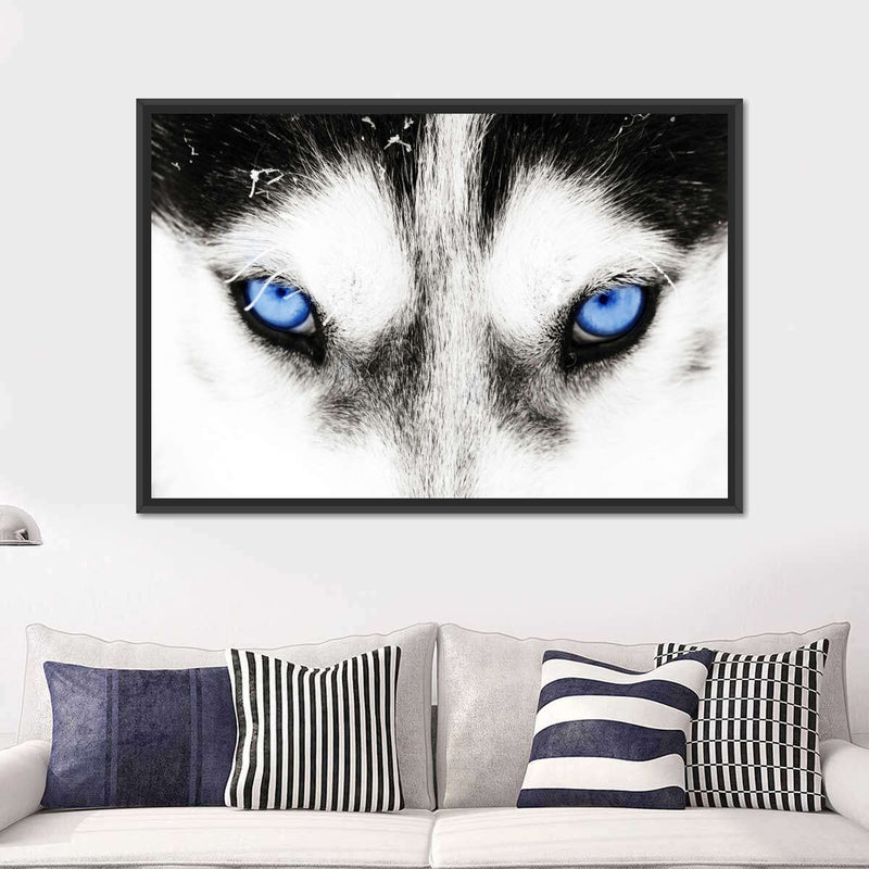 Husky's Eyes Wall Art
