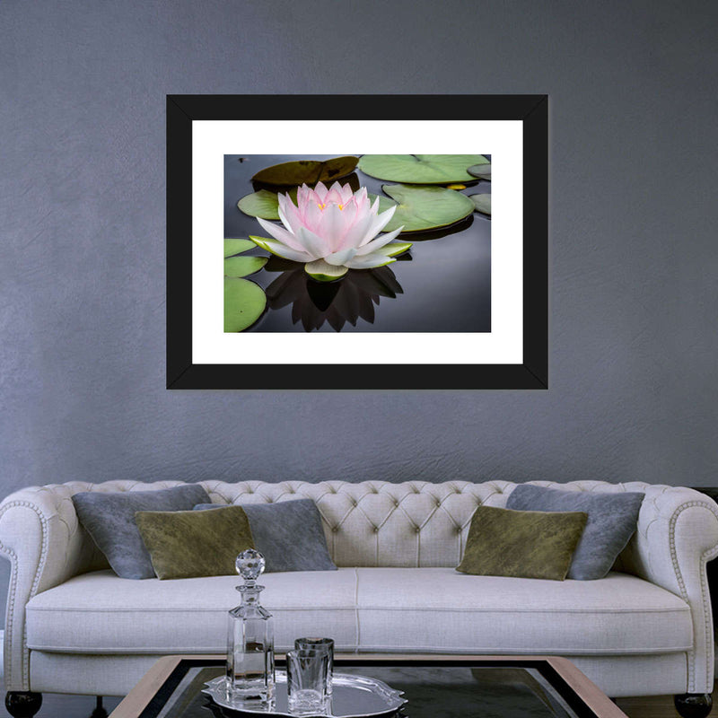 Pinkish White Lotus Wall Art