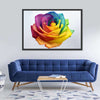 Rainbow Rose Wall Art