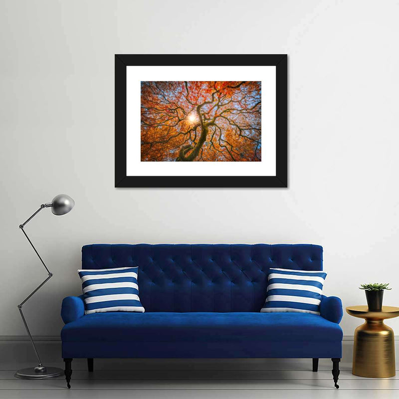 Japanese Maple Tree Wall Art