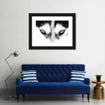 Husky's Eyes Wall Art