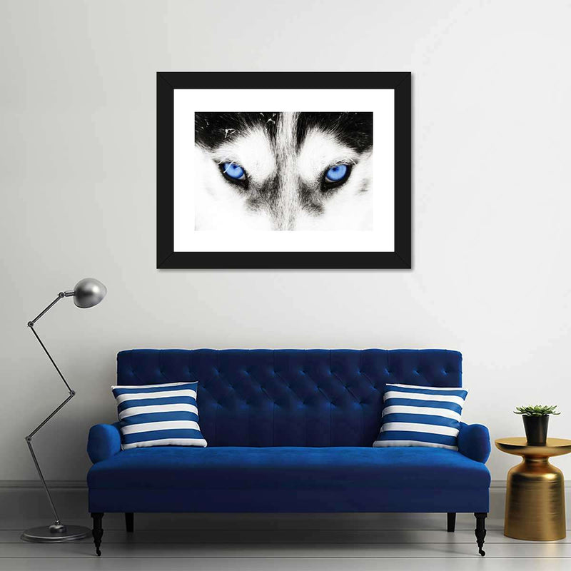Husky's Eyes Wall Art