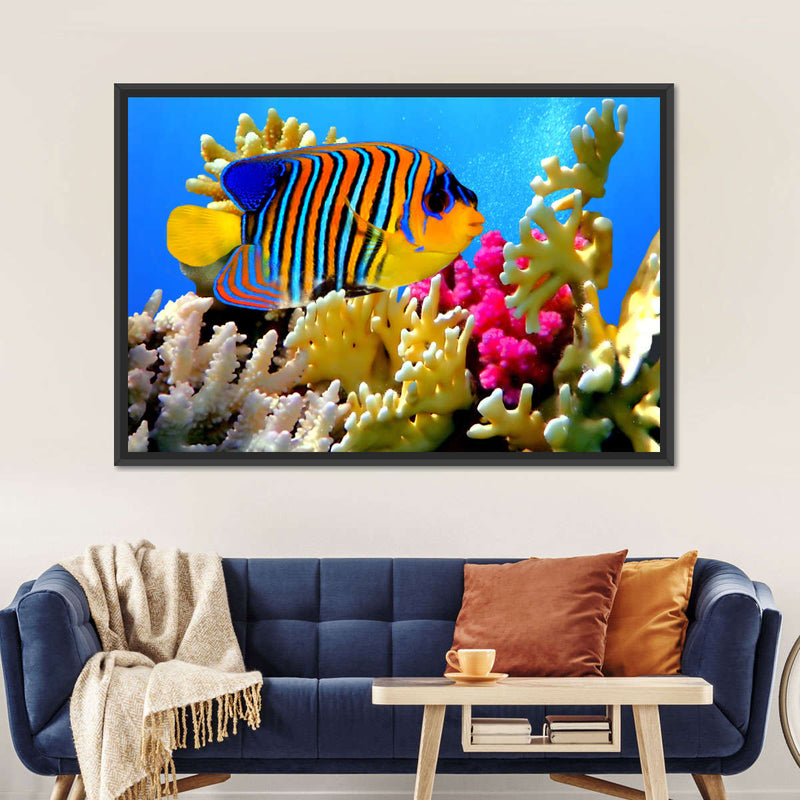 Queen Angelfish Wall Art