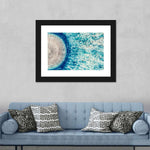 Jellyfish Details Wall Art