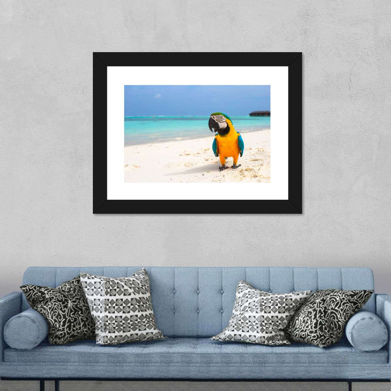 Parrot On Summer Day Wall Art
