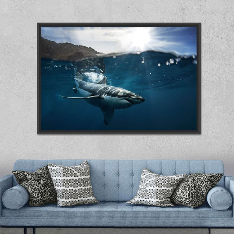 Shark Sunshine Wall Art