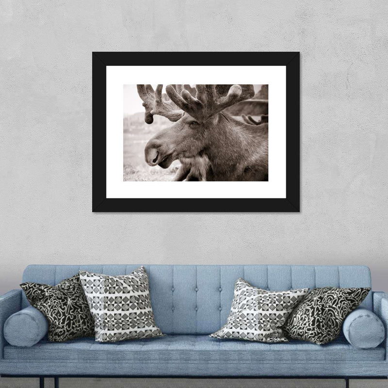 Moose Head Wall Art