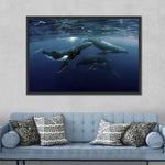 Humpback Whales Wall Art