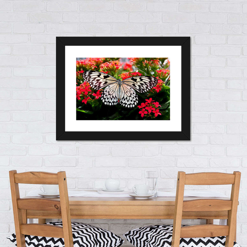Pretty Butterfly Wall Art