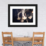 Light Of Jellyfish Wall Art