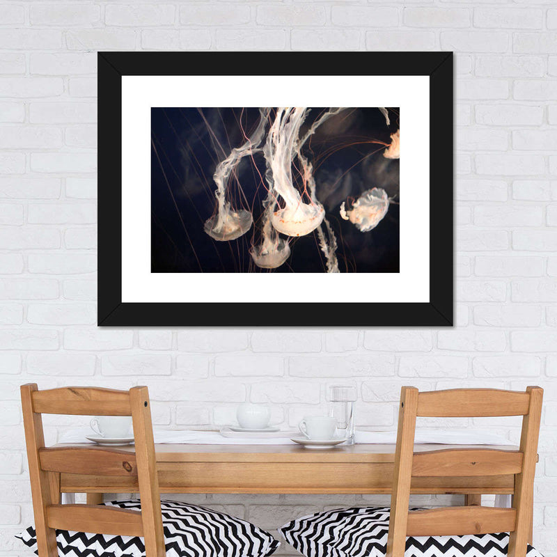 Light Of Jellyfish Wall Art