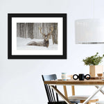 Snow Covered Elk Wall Art